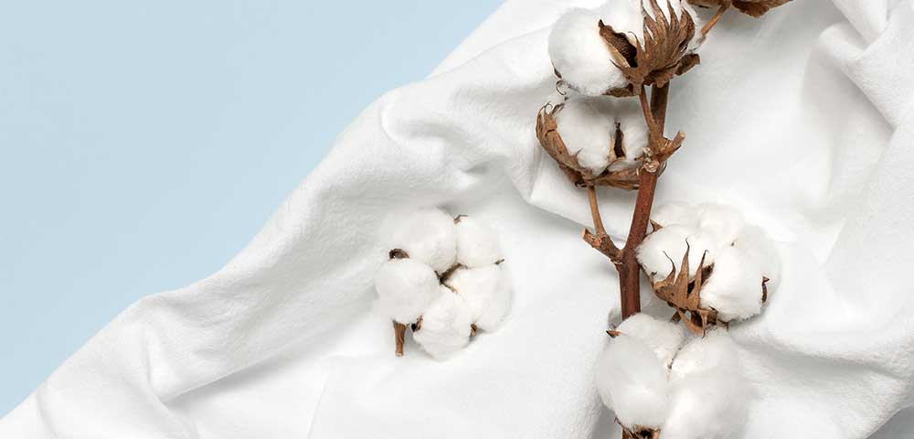 Cotton & Water: No Thirsty Plant