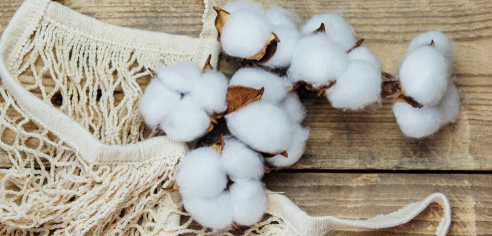 Online-Event zum World Cotton Day: Technischer Roundtable zum nachhaltigen Baumwollanbau