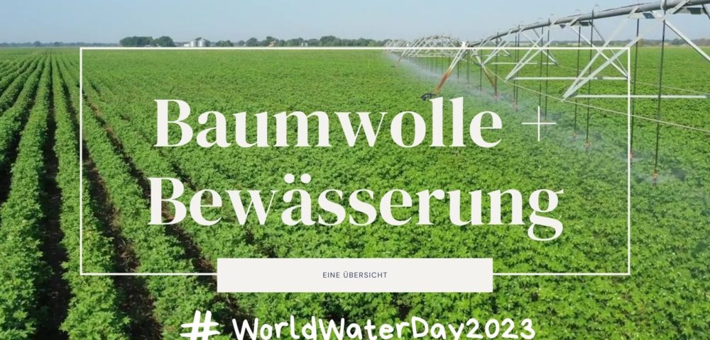 Weltwassertag 2023: Baumwolle und Bewässerung