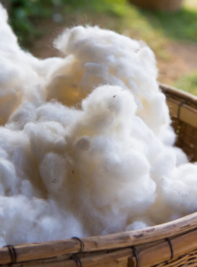 Harvested cotton © canva